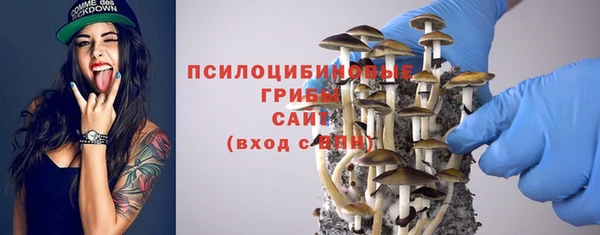 кристаллы Аша