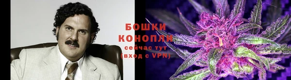 кристаллы Аша