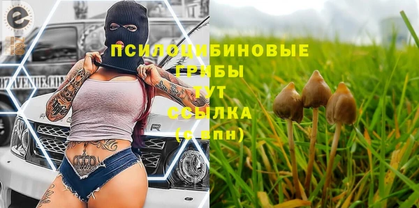 соль курить ск Анжеро-Судженск